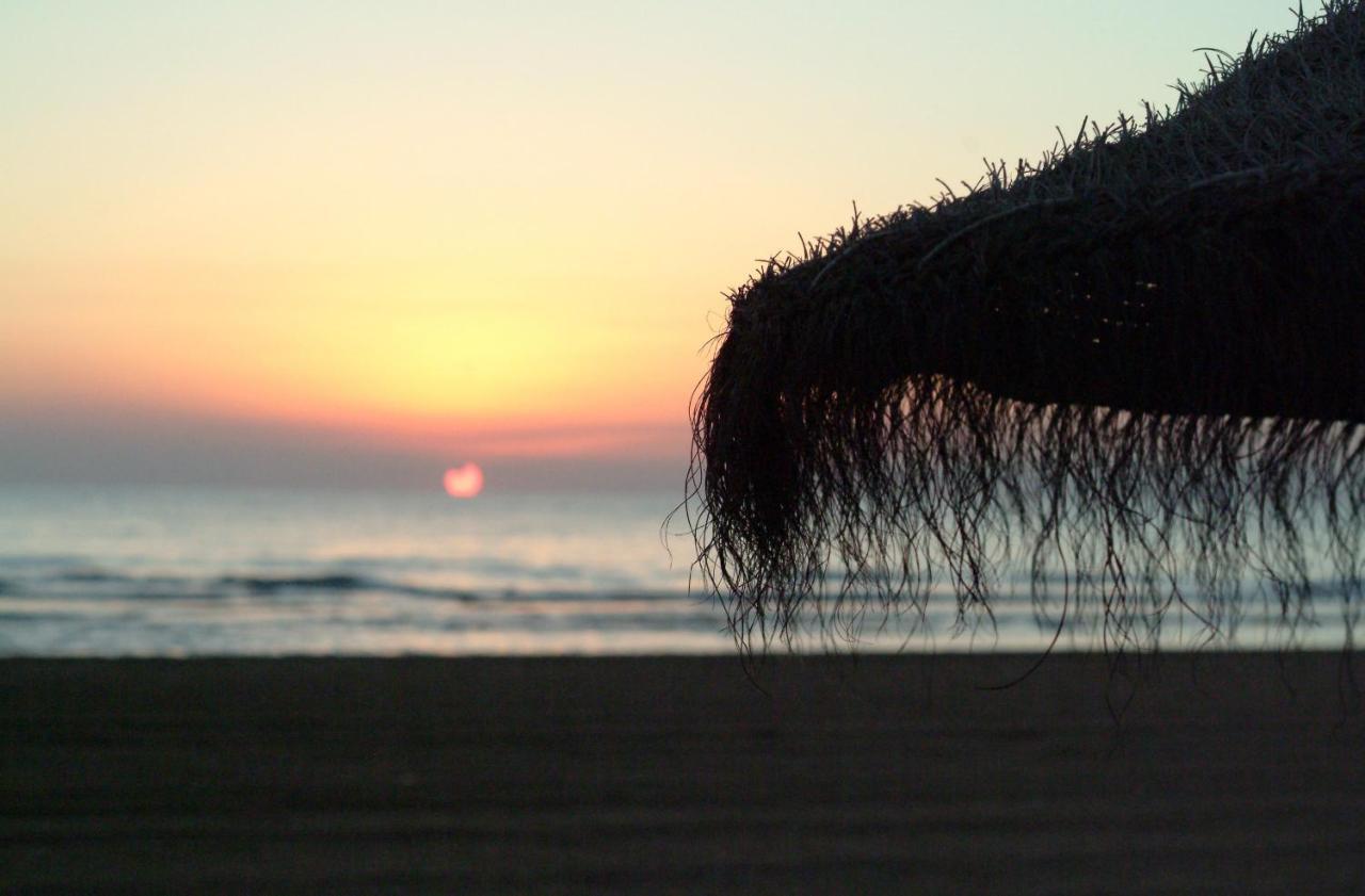 Ag Las Sirenas Playa de Gandia المظهر الخارجي الصورة
